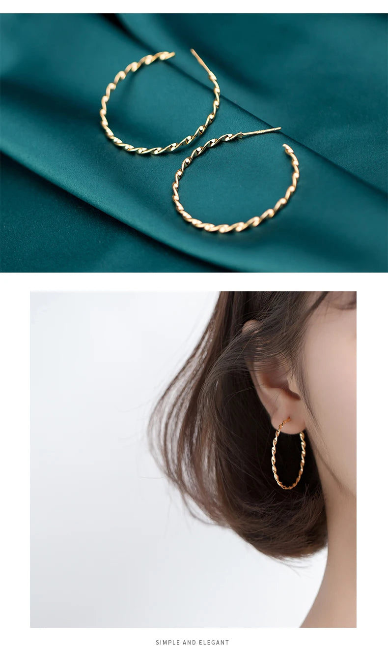 The IceBoyDC Twisted Hoop Earrings