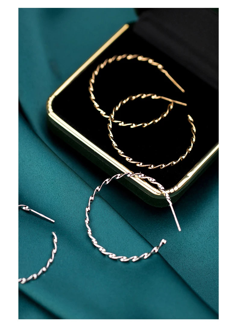 The IceBoyDC Twisted Hoop Earrings