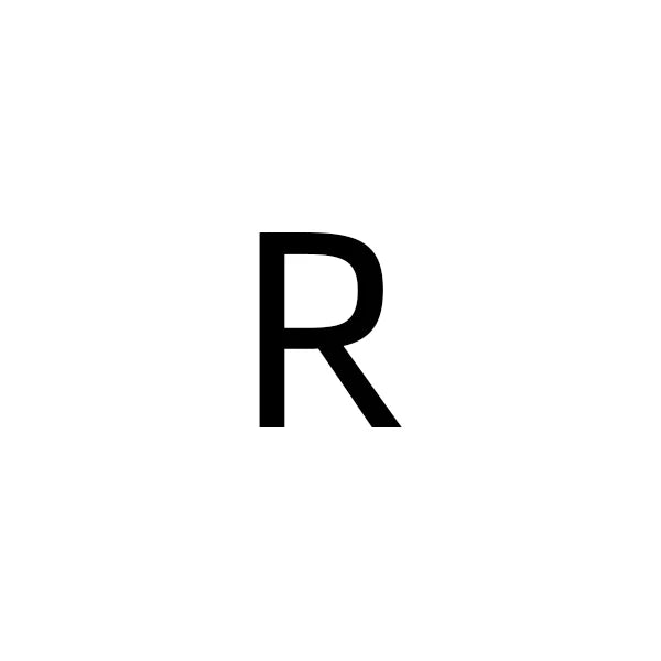 The IceBoyDC Simple Zirconia Letter Ring
