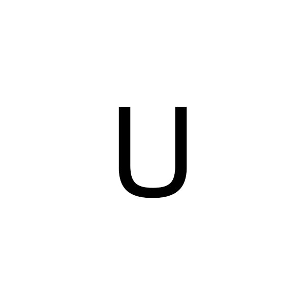 The IceBoyDC Simple Zirconia Letter Ring
