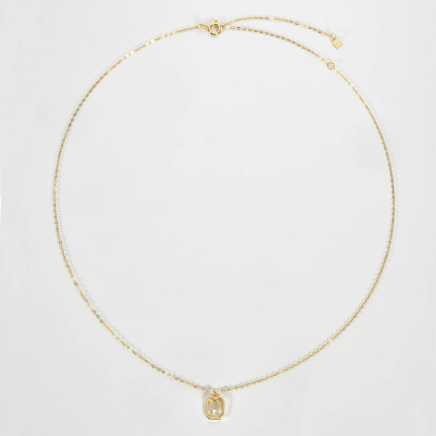 IceBoyDC Gold Initial Necklace with Zirconia Pendant