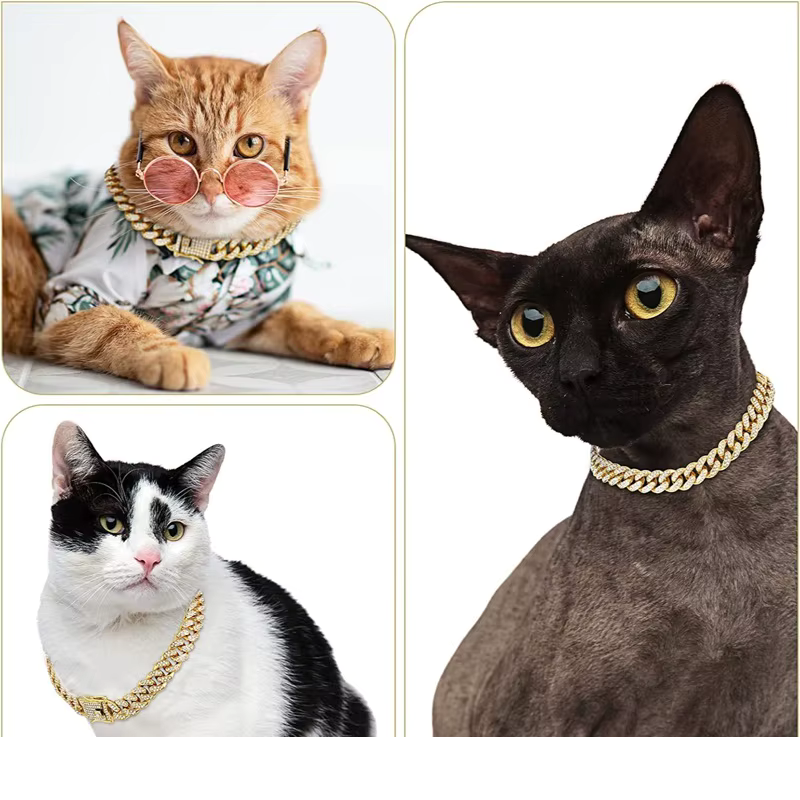 IceBoy DC – Iced Out Gold Cuban Link Dog Collar | Luxury Pet Chain